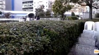 婷婷一区二区免费